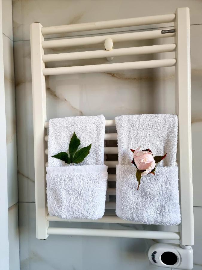 Newly Renovated Apartment تيرانا المظهر الخارجي الصورة